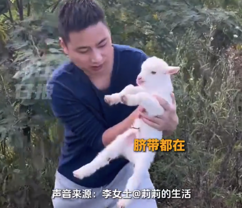 夫妻山上捡小羊沿路打听寻到主人 当事人回应：小羊和妈妈见面那一刻，特别感动