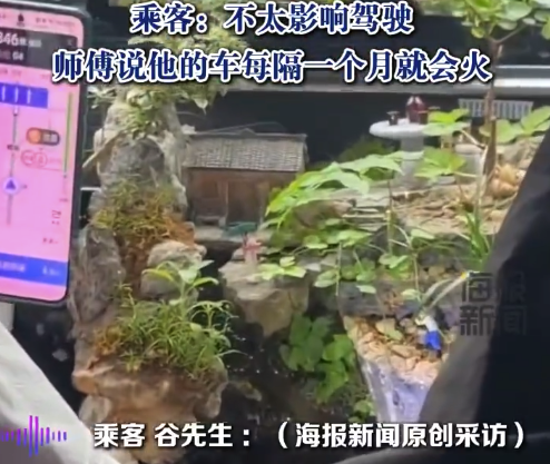 男子打的网约车里有鱼有山有绿植 司机：每隔一个月就要火一次，不太影响驾驶