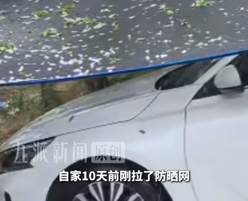 西安降鸡蛋大冰雹市民拉防晒网护车:10天前刚拉的网,原本是为了遮阳