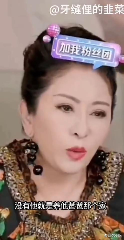 向太说郭碧婷养娘家 豪门经济账的微妙真相