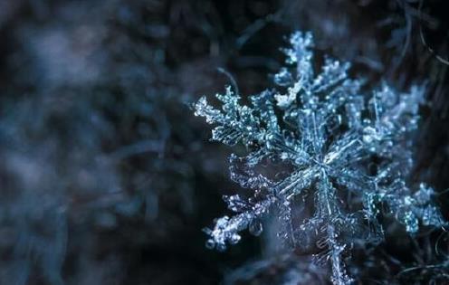 绝对零度的光会怎么样?它会被冻住,呈现一种神奇的景象