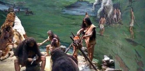 重大发现：巴拿马猴子可能步入石器时代，地球或出现第二文明？