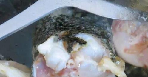 炖鱼汤时，记住“2放2不放”技巧，鱼汤奶白无腥味，鲜香十足