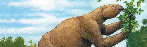巴西发现1.3万年前史前隧道，科学家研究后认为：不是人类建造