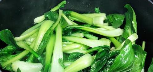 广东人都爱炒蔬菜！如何轻松做出香脆美味，健康又去油腻？