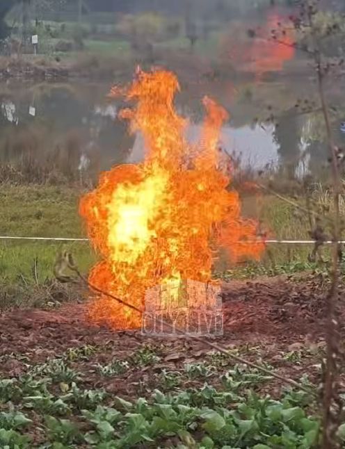 四川一田地突然冒火“烧一天一夜” 疑地下气体泄漏引发