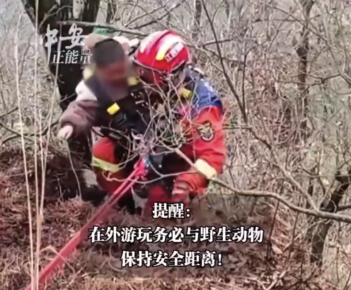 男孩逗小猴被猴妈拽下10米悬崖 消防提醒：在外游玩务必与野生动物保持安全距离