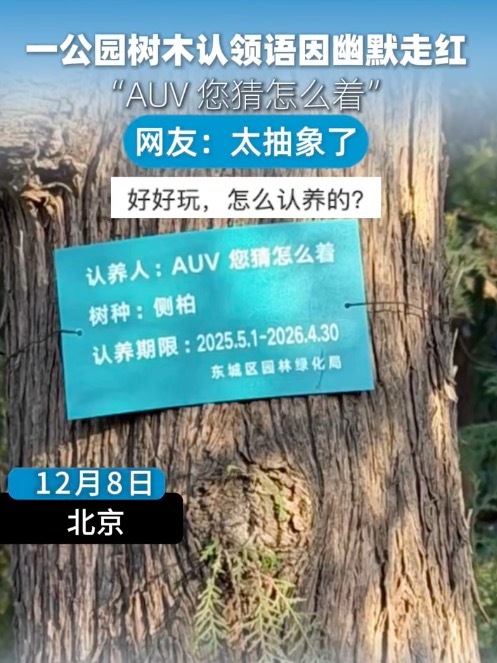 公园回应树木认领语走红 网友热评“既接地气又充满巧思”