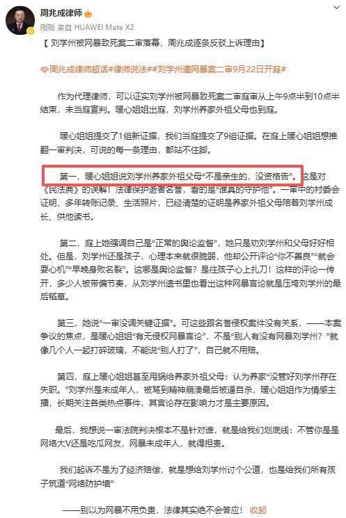 暖心姐姐将网暴言论狡辩成舆论监督 二审争议焦点解析