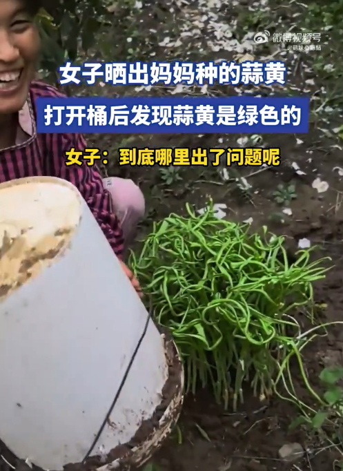 女子晒出妈妈种的蒜黄，打开桶后发现蒜黄是绿色的