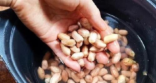茴香拌花生米，5分钟出锅，香到邻居敲门，你敢试吗？