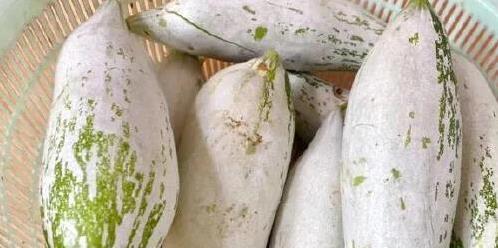 农村常见的老鼠瓜，营养堪比人参，你家饭桌缺了它？