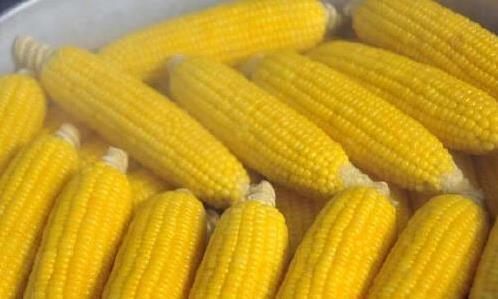 玉米减肥又好吃，10分钟煮熟存半年，哪种方法最好用？