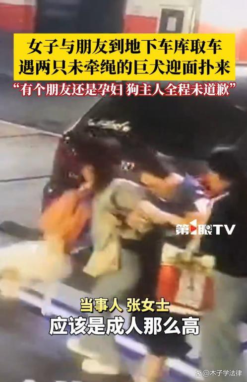 车库被狗追咬女子发声：狗主人全程无歉意，已报警