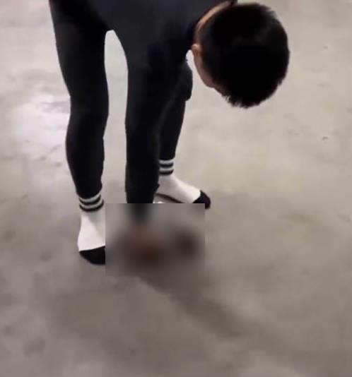 摔猫事件涉事人员被处理 教官暴力行为引众怒