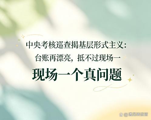 中央巡查组：再不治理迟早出大事