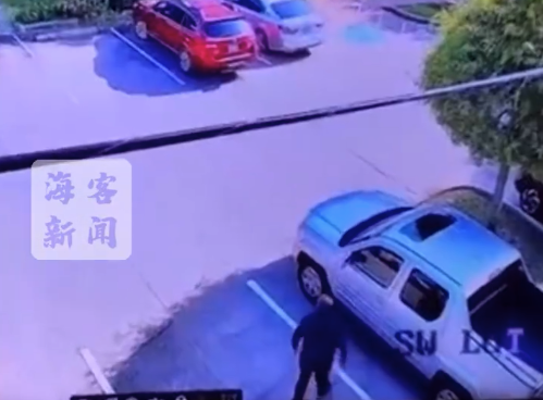 美国警察遭飞鸟至少四次俯冲袭击 边躲闪边朝空中挥拳驱赶