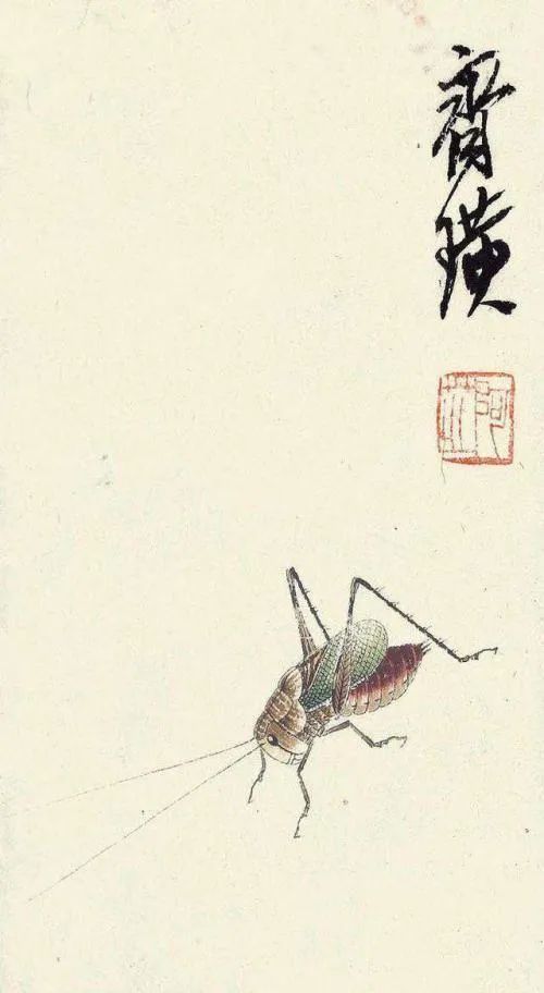 齐白石认识梅兰芳后 特意为他画一幅《蟋蟀》