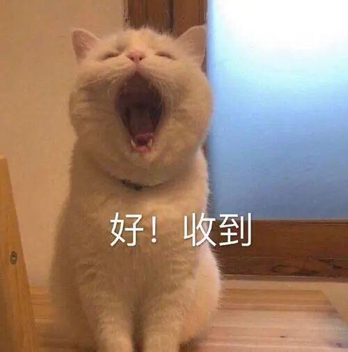 双一流现状：研究生人数已反超本科生！