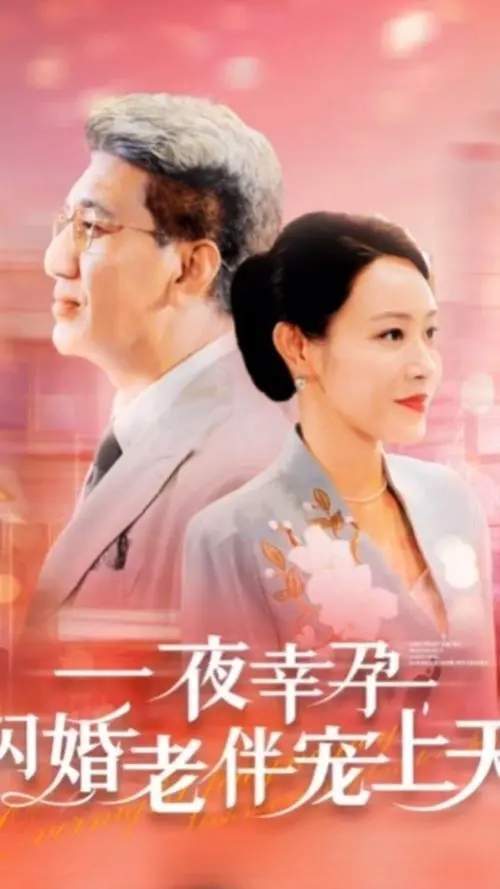 《一夜幸孕，闪婚老伴宠上天》故事梗概，短剧剧情介绍