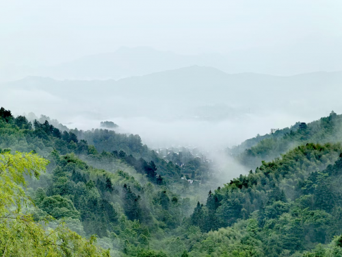 半山问禅：查济半山一音禅院生活禅修感想