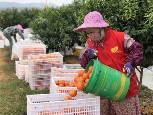 广西贫困人口有多少_湛江日报·数字报刊(3)