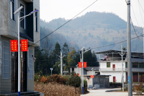 湖北利川：乡村“小路灯”点亮民生“大幸福”