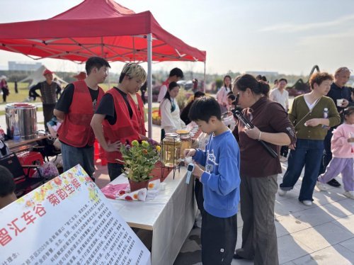 青春志愿映菊香  武汉经开区2025菊展圆满落幕