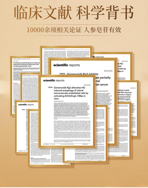 高瑞莱极参，加拿大百年参源地，凝萃稀有人参皂苷创世臻品