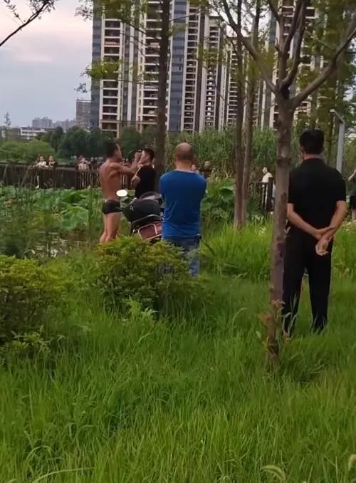 公园管理员被男子绑树上 湖南警方通报:行政拘留15日