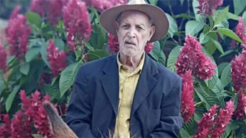 巴西127岁长寿老人去世 确认信息后或成为世界上最长寿的男子