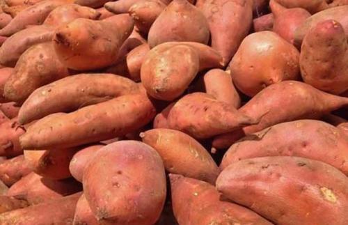 吃红薯后，1小时内不宜再吃几样食物，严重可能中毒