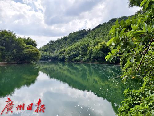 广州出台当然保护地监管换取