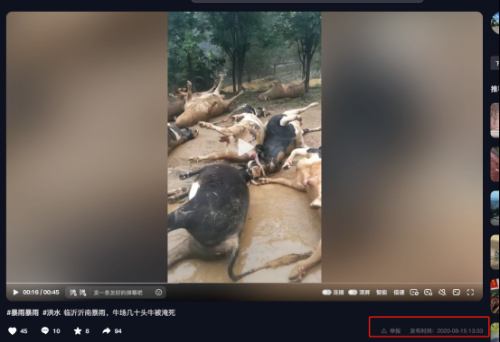 云南德宏暴雨洪災(zāi)后“遍地畜牧死亡”？官方回應(yīng)