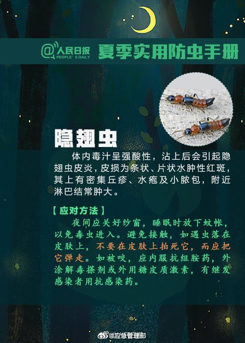 北京多区市民发现隐翅虫，遇到千万不要用手拍打！