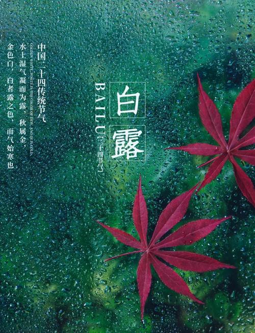 通常在白露时节,露水就容易凝结成霜吗?