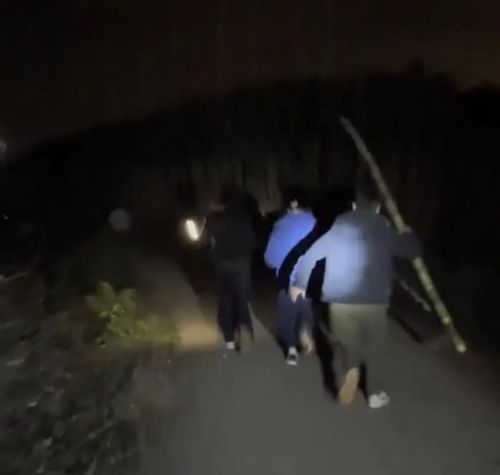 体验付费偷甘蔗第一视角有多刺激 乡村乐趣爆火出圈