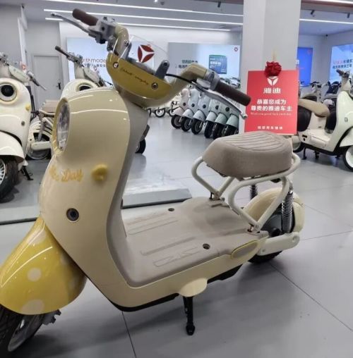 雅迪守得住3.8亿辆市场的王座吗 新国标下的战略迷惘