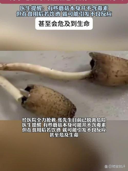 男子误食毒蘑菇险丧命 专家提醒 经验主义不可靠