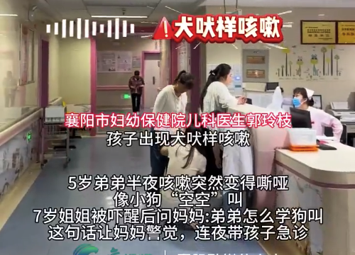 姐姐称弟弟学狗叫妈妈立即送医 医生：急性喉炎不要耽误