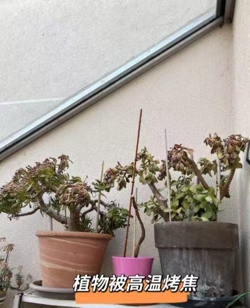 法国政坛争论要不要装空调 高温下的政治对立