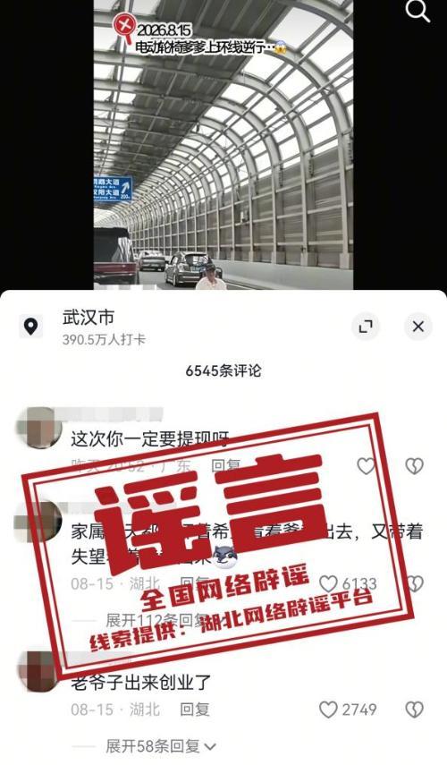 武汉轮椅老人上高架蓄意碰瓷不实 警方还原真相