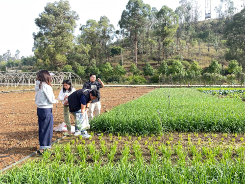 昆明阳宗镇严把“菜篮子”质量安全关