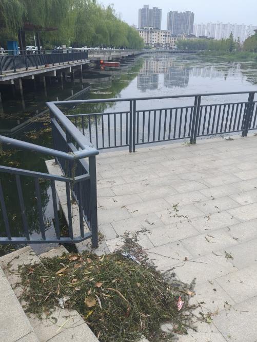 郑州一女子凌晨跳湖身亡