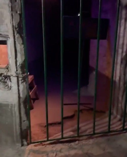 日本在呼伦贝尔建的细菌执行基地 