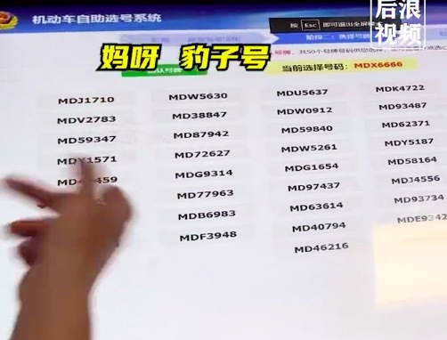 夫妻选车牌 妻子随手摇出6666