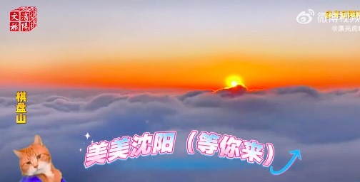 沈佳润美美桑内居然百搭成这样