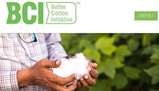 瑞士良好棉花发展协会（BCI）因被曝抵制中国新疆棉花而火爆全网。来源：GJ