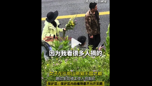 保护区回应女子摘野花被劝阻 自然保护区野花是禁止采摘的