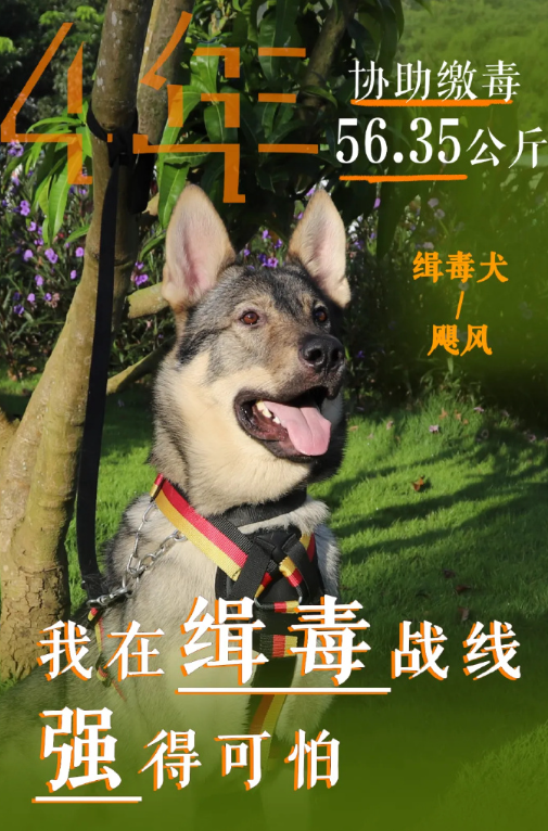 不打码的缉毒战士战绩可查 汪汪队立大功！